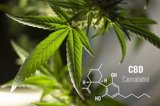 Cannabinoids, Cannabidiol, CBD, THC