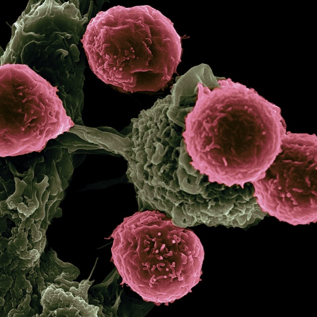 marijuana, cancer patients