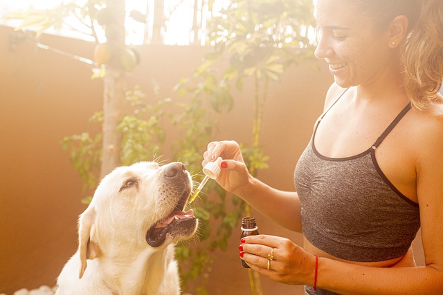CBD Pet