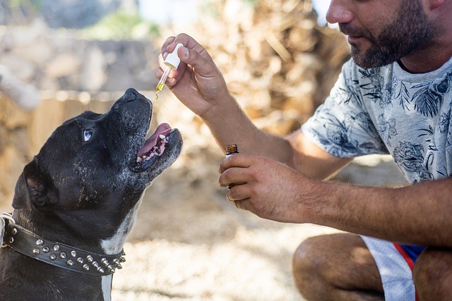 CBD Pet