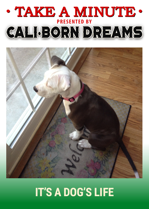 Take A Minute - Lily | Cali-Born Dreams