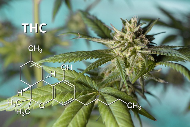 Is Delta 9 THC Legal in the United States?